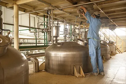 Selenium Enriched Yeast